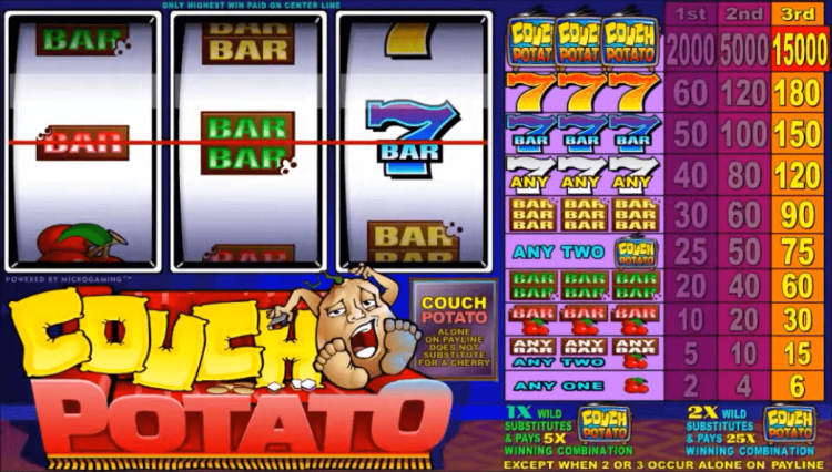 Couch Potato Microgaming online slot