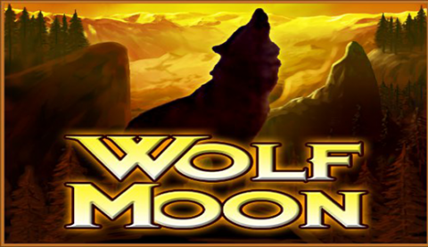 wolf moon amatic