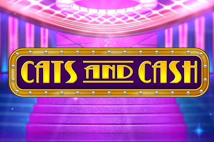 Cats and Cash slot play'n GO logo