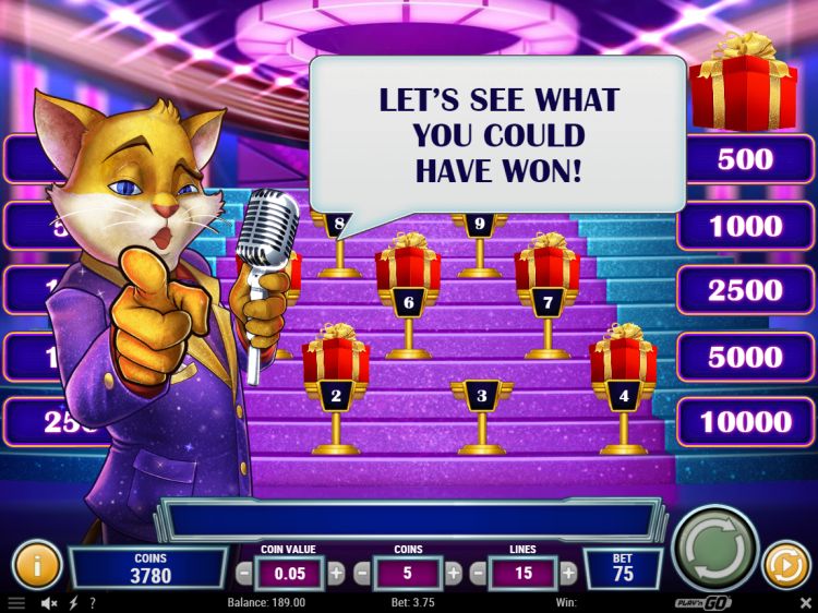 Cats and Cash gokkast review