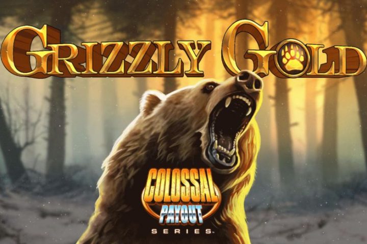 Grizzly Gold Blueprint