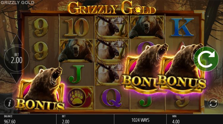 Grizzly Gold online gokkast bonus