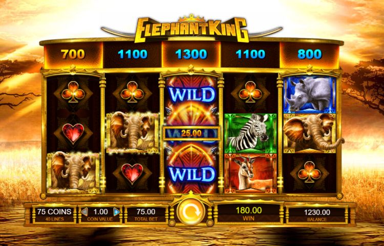 Elephant King IGT slot review
