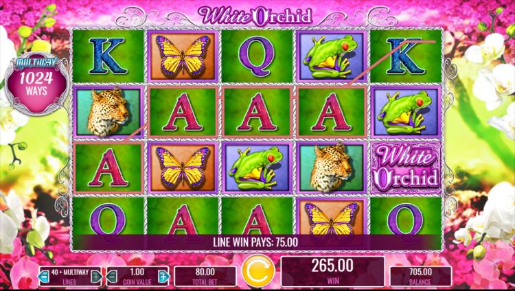 White Orchid slot review IGT