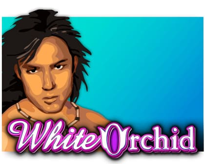 white-orchid-slot review