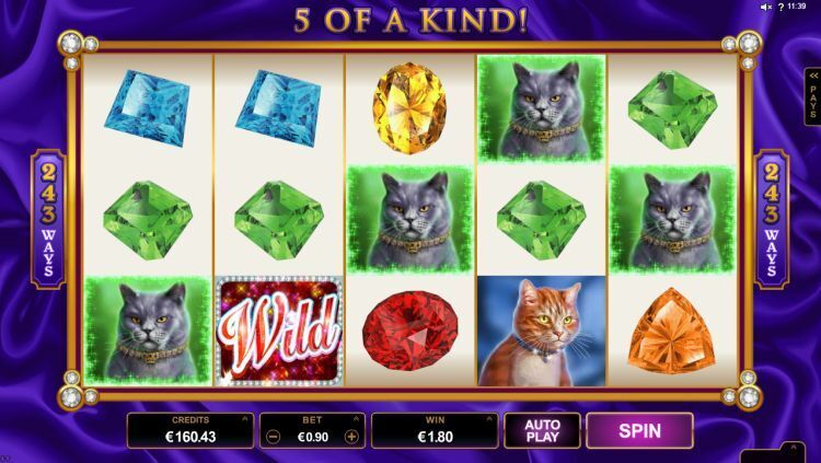 Pretty Kitty slot review Microgaming