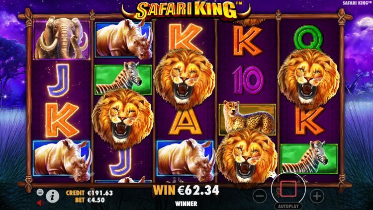 Safari King gokkast win