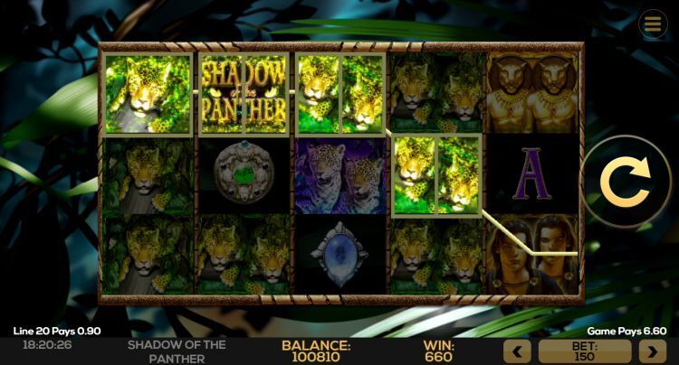 Shadow of the Panther - Bonus