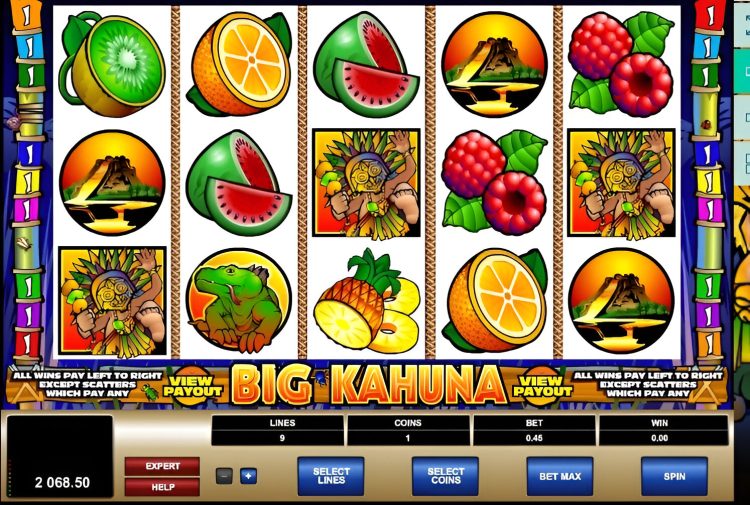 Microgaming Big Kahuna slot review