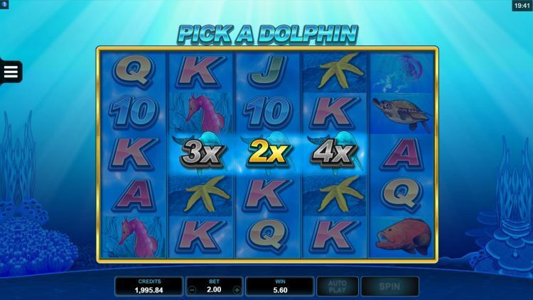 Dolphin Coast online slot review