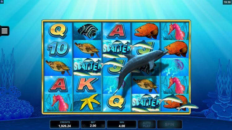 Dolphin Coast slot bonus win