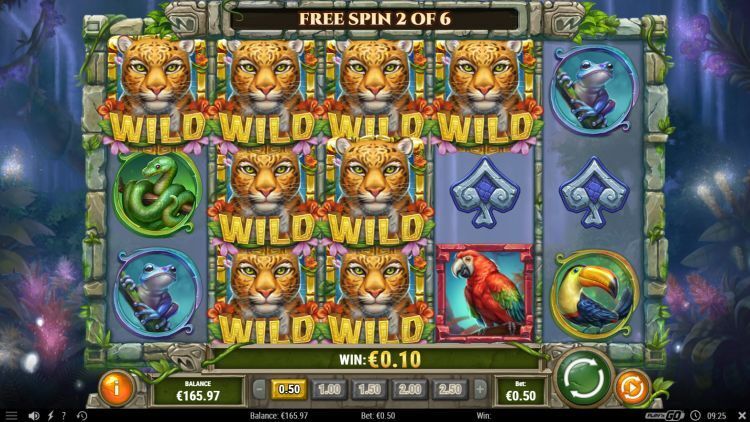 Rainforest Magic slot Free Spins bonus