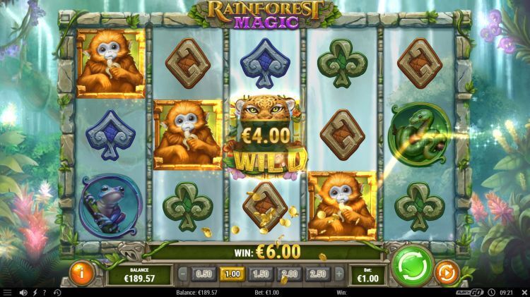 Rainforest Magic slot review Play n GO