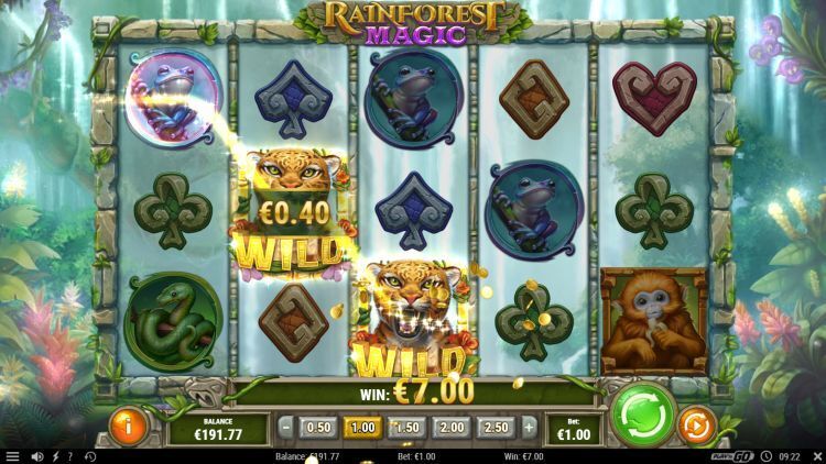 Rainforest Magic gokkast win