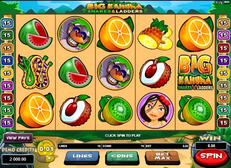 Big Kahuna Snakes and Ladders slot review Microgaming