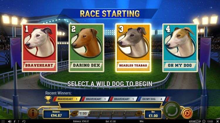 Wildhound Derby slot bonus