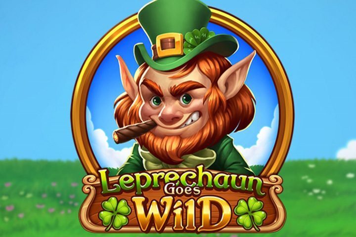 play n go_leprechaun-goes-wild logo