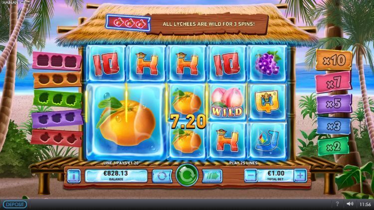 Hainan Ice slot Playtech win