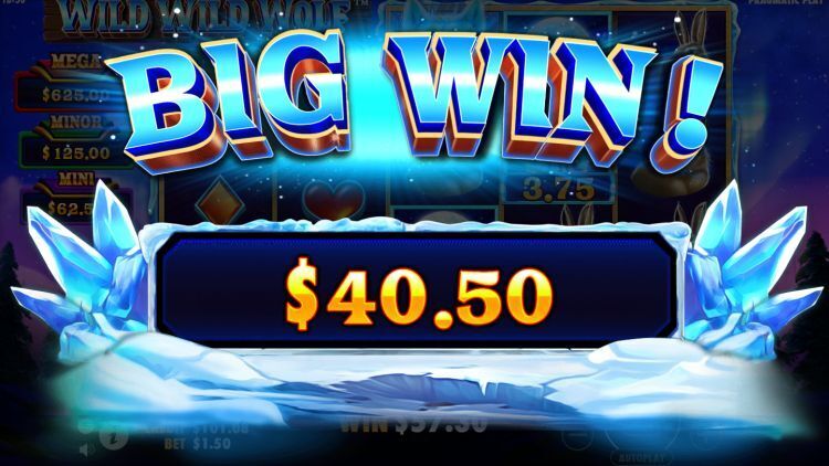 Wild Wild Wolf slot pragmatic play big win