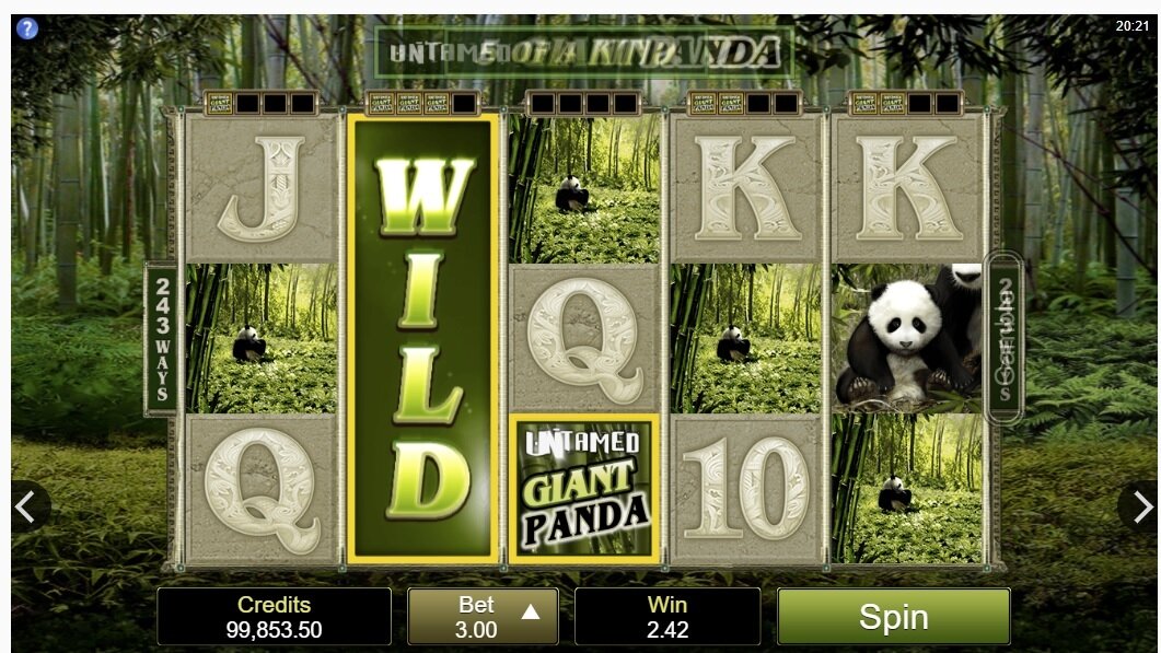 Untamed Giant Panda gokkast