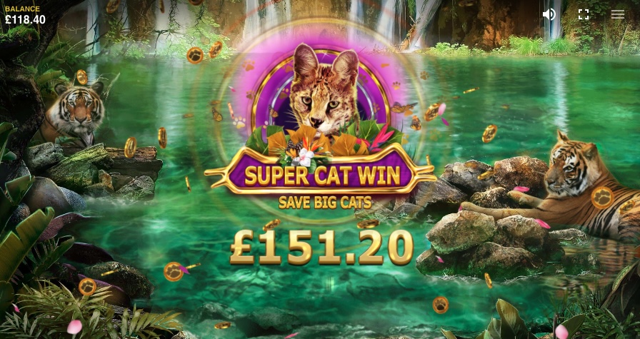 Big Cat Rescue Bonus