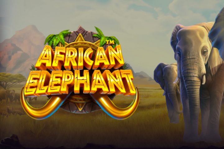 African Elephant - Online Gokkast Review