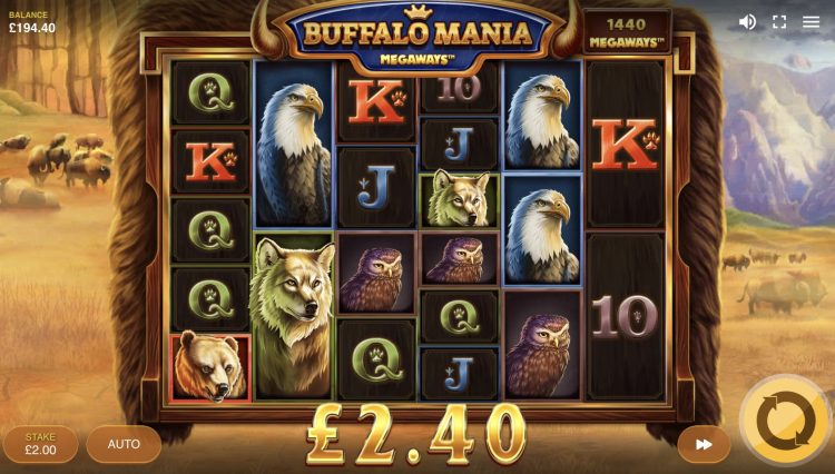 Buffalo Mania Megaways - Gameplay