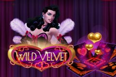 Slots - Wild Velvet - Online Gokkast Review