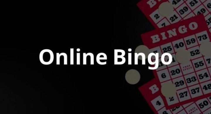 Online Bingo Casino Speluitleg