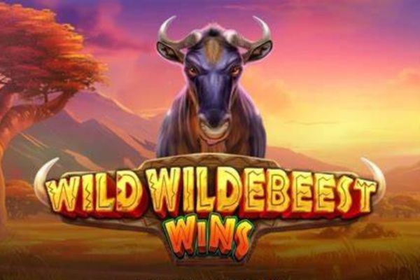 Wild Wildebeest Wins Online Slot Review